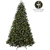 Pre-Lit 'Feel Real' Artificial Full Downswept Christmas Tree, Green, Douglas Fir, Dual Color LED Lights, Includes Stand and PowerConnect, 9 feet